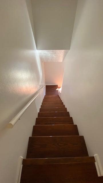 Building Photo - 5032 Top Cat Ct