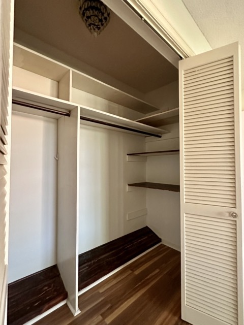 Master Closet - 101 Williams Dr