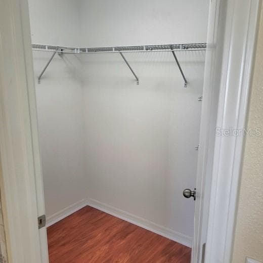 Building Photo - 8502 Zapota Way