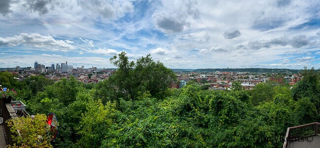 Building Photo - 61 Mulberry St