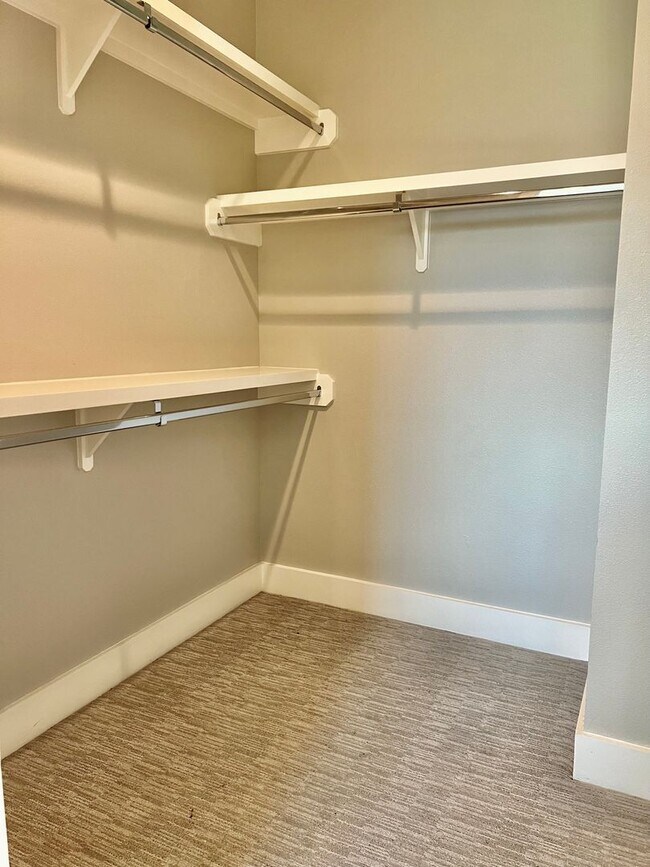 Building Photo - Hill Country Escape - 4 Bed/4 Bath Modern ...