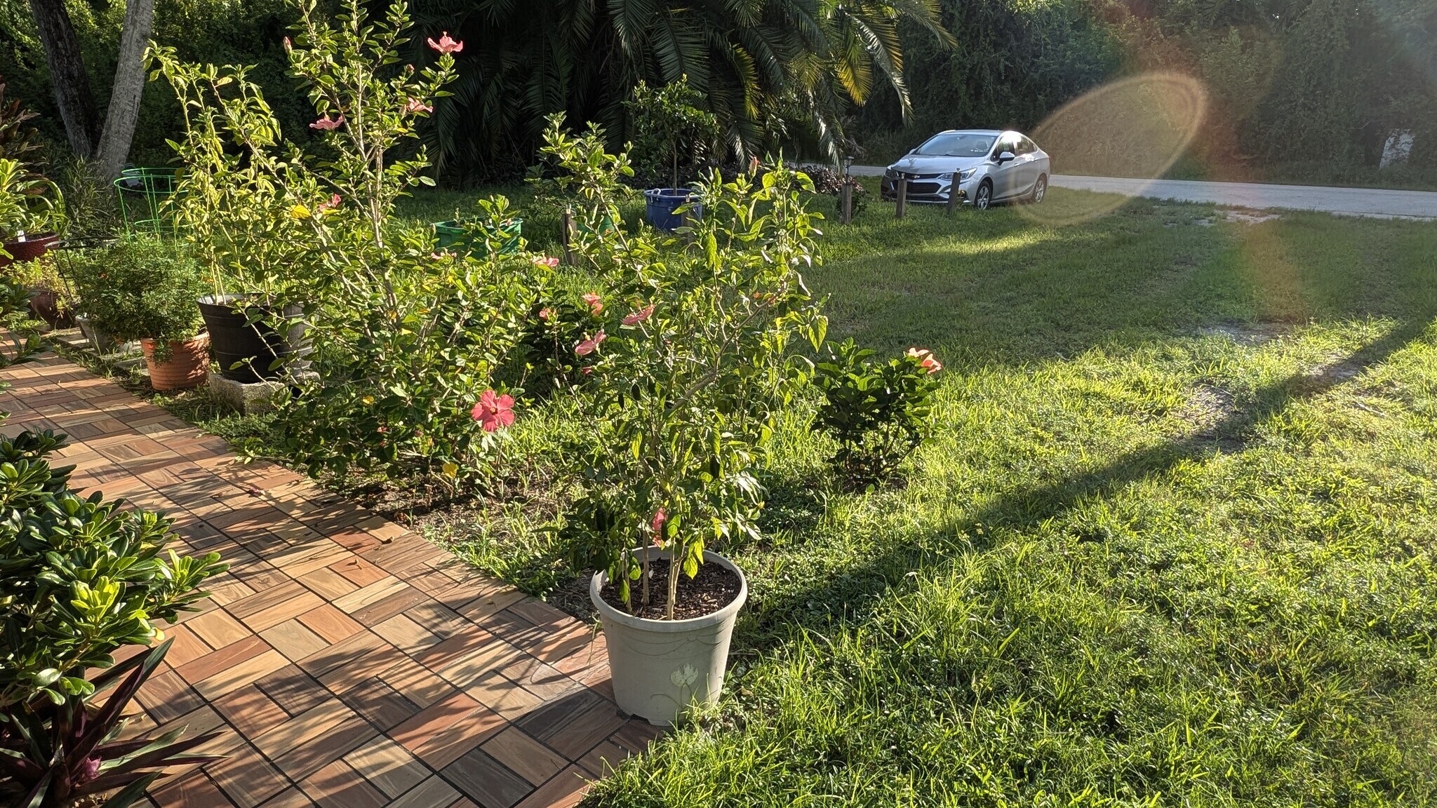 Building Photo - 3232 Carrington Dr