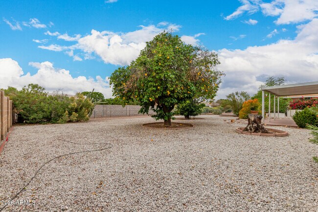 Building Photo - 10431 W Tumblewood Dr