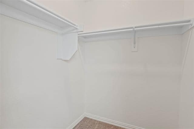 Building Photo - 3513 Twin Pond Trl