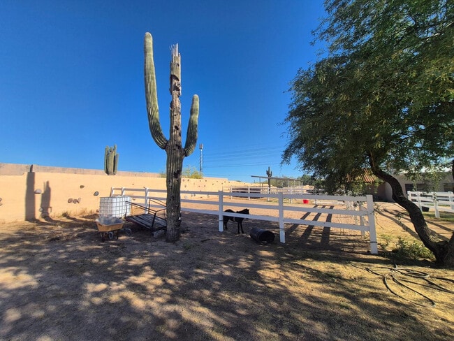 Building Photo - 6740 E Dixileta Dr