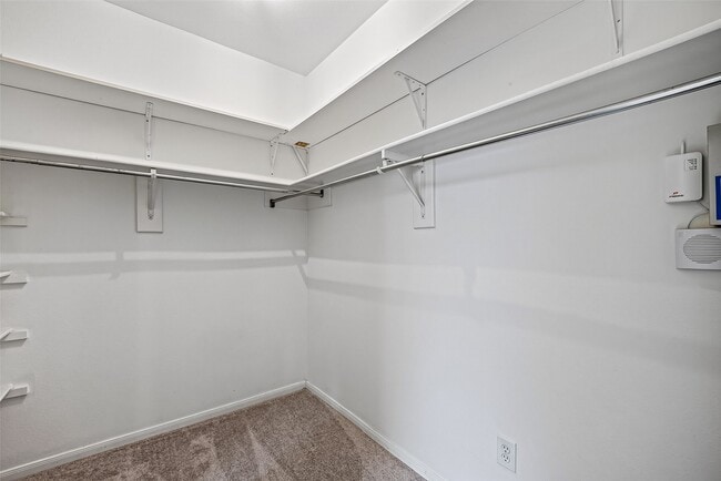 Building Photo - 2411 Charter Oaks Ct