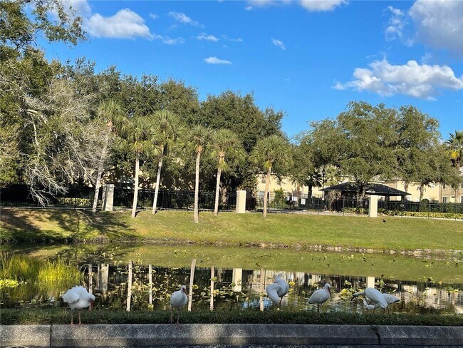 Building Photo - 1 Bed / 1 Bath Condo in Gated Comm. In Altamonte Springs, Available Now!!