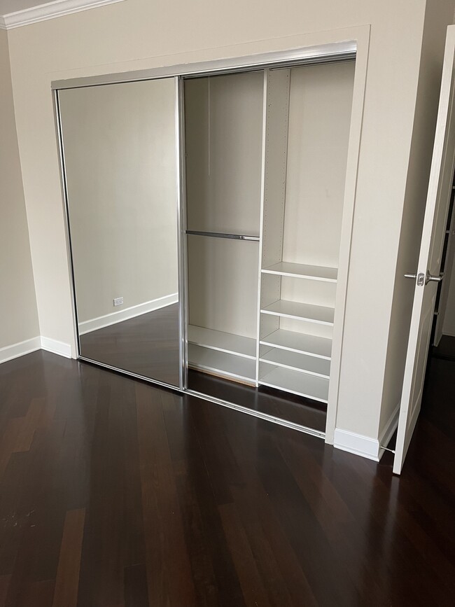 Bedroom closet - 1445 N State Pkwy