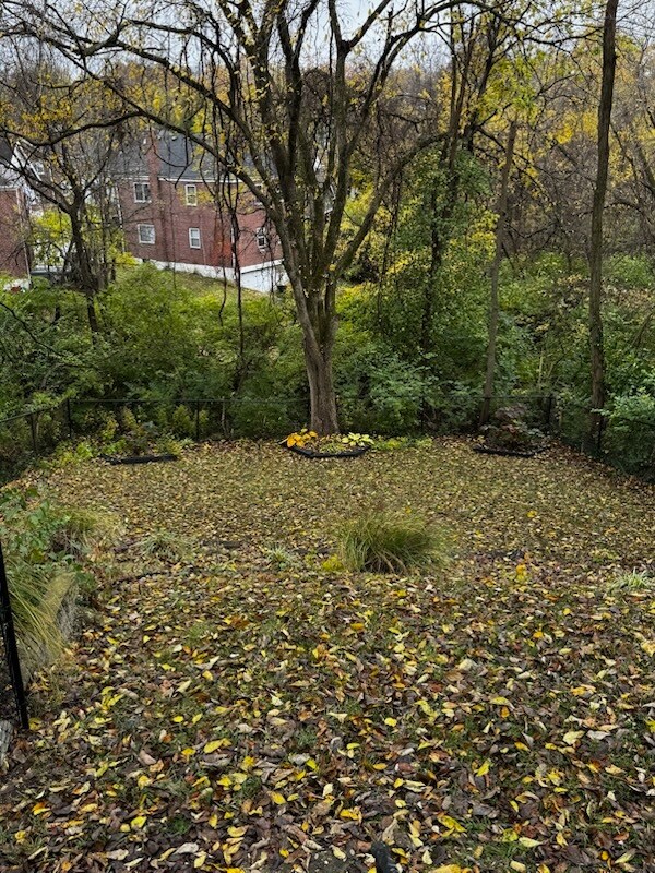 Building Photo - 517 Camden Ave