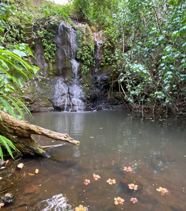 Primary Photo - 630 E Kuiaha Rd