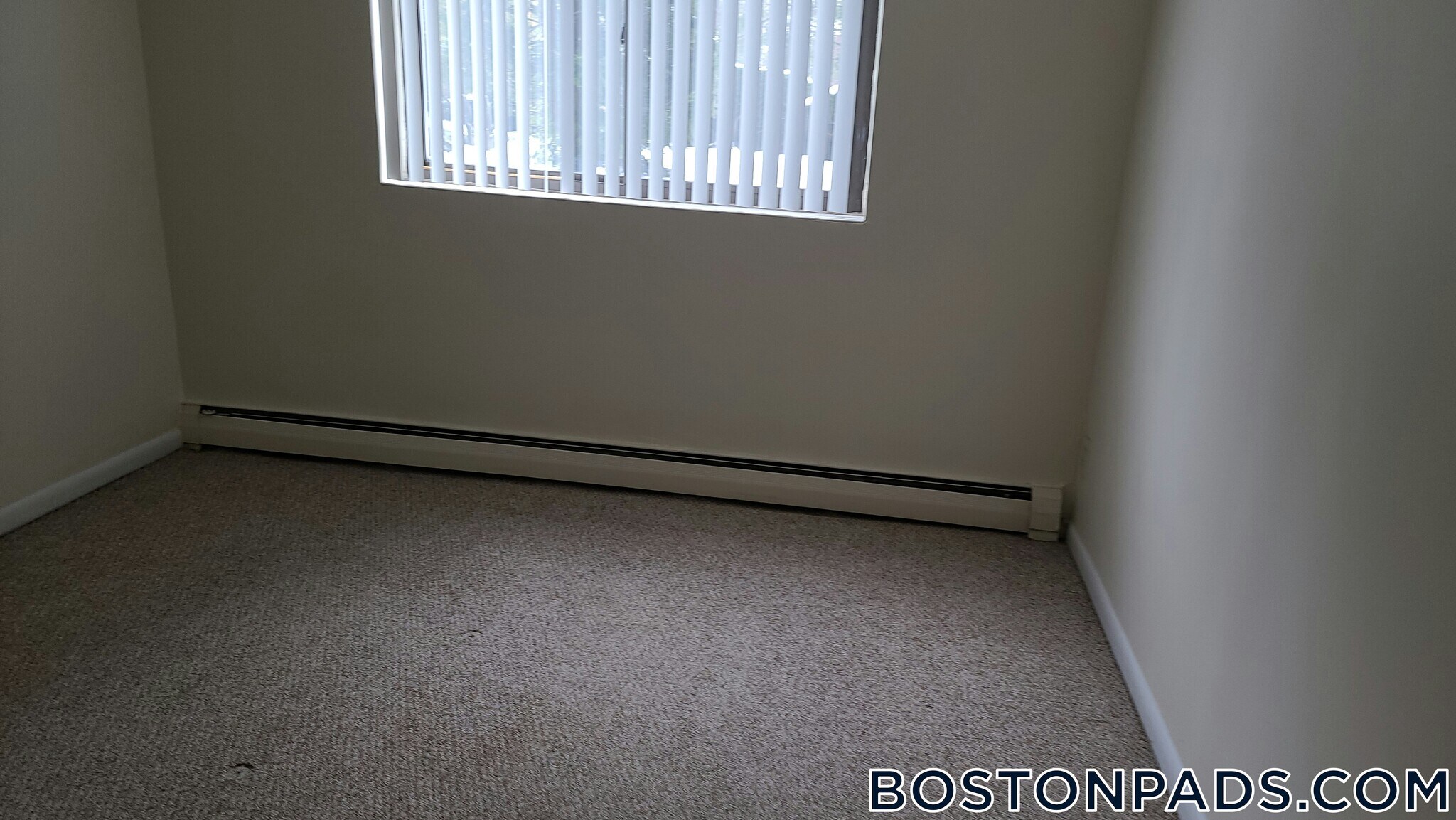 Building Photo - 16 Whites Ave