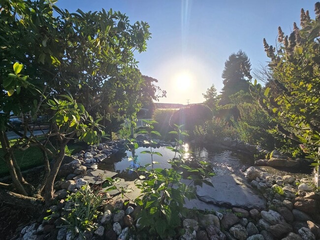 Building Photo - Stunning 4BR/2BA Fortuna home in quiet nei...