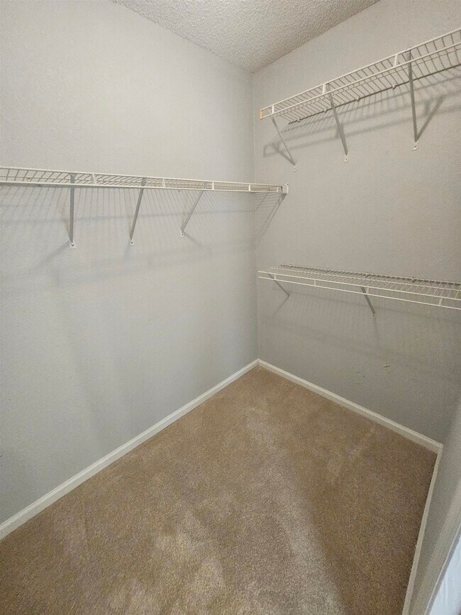 Building Photo - 3377 Tansey Ct