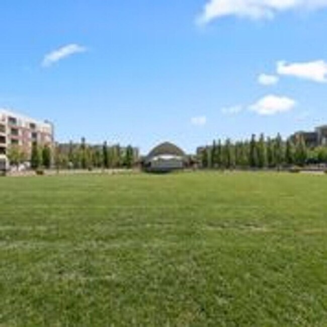 Building Photo - Central Park HOUSE for rent! 2 BLOCKS TO STANLEY MARKETPLACE