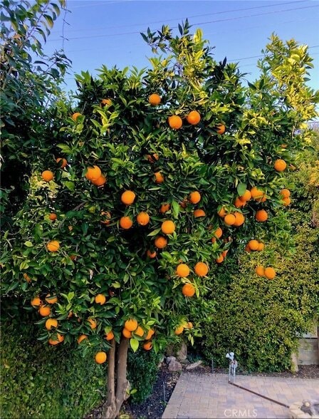 Building Photo - 13139 Valleyheart Dr