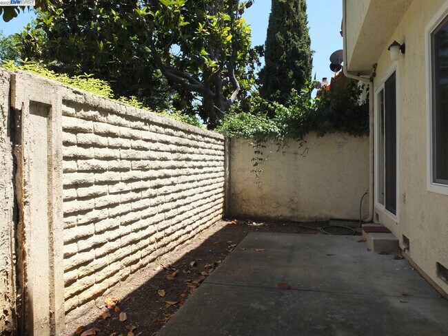 Building Photo - 31214 Tepic Pl