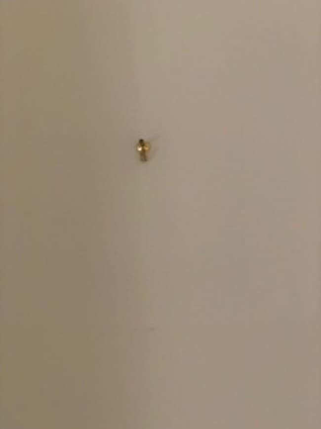 Building Photo - East Village 13th floor condo with panoramic views