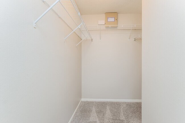 Building Photo - 2623 Merganser Ct