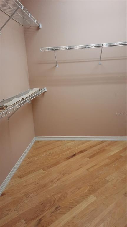 Building Photo - 58 Burning Bush Dr