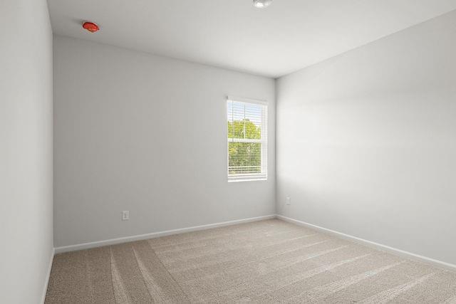 Building Photo - 712 Hedwig Dr