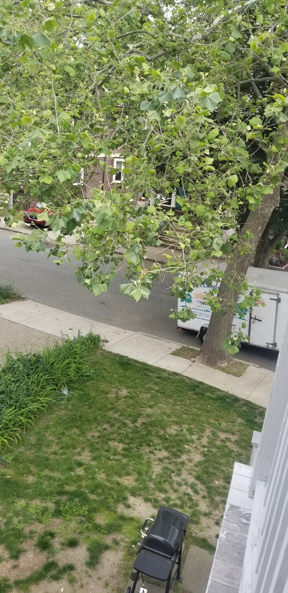 Yard space! - 879 Broadway