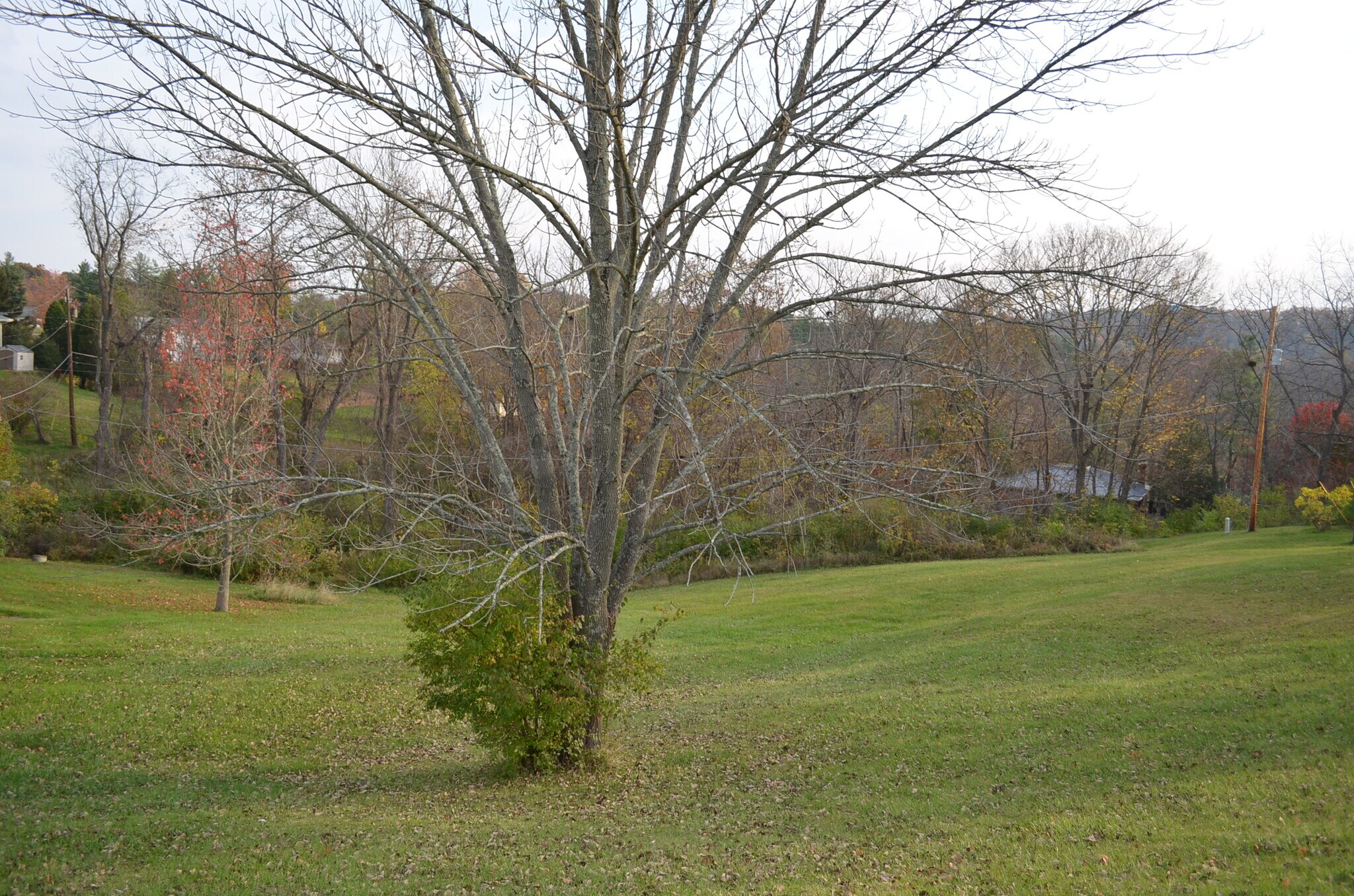 Building Photo - 93 Wonderhill Dr