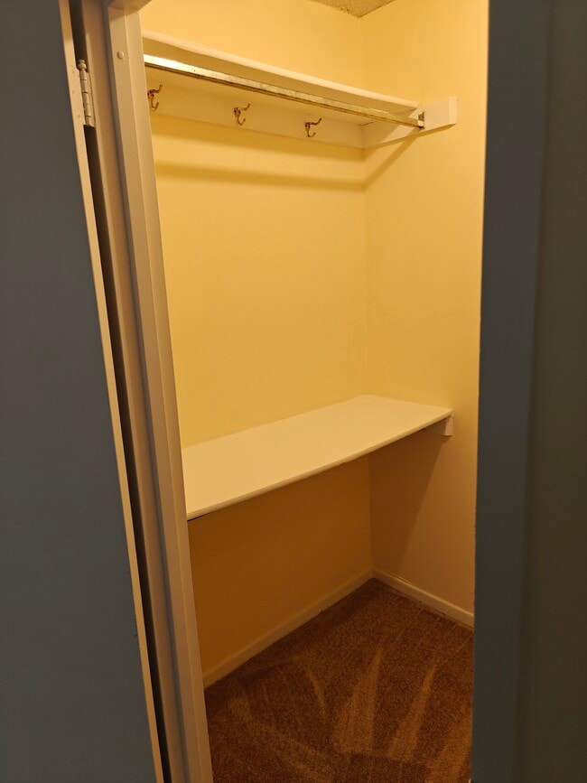 Building Photo - 3705 S George Mason Dr