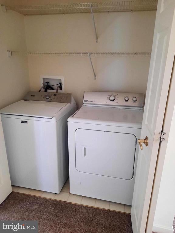 Building Photo - 117 Cardinal Ln