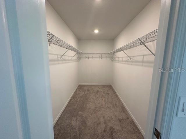Building Photo - 349 Wayland Dr