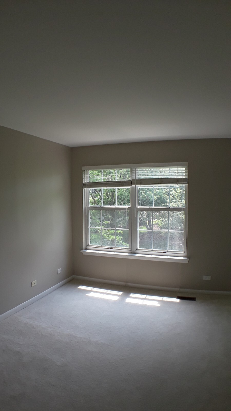 Building Photo - 2817 Adams Ct