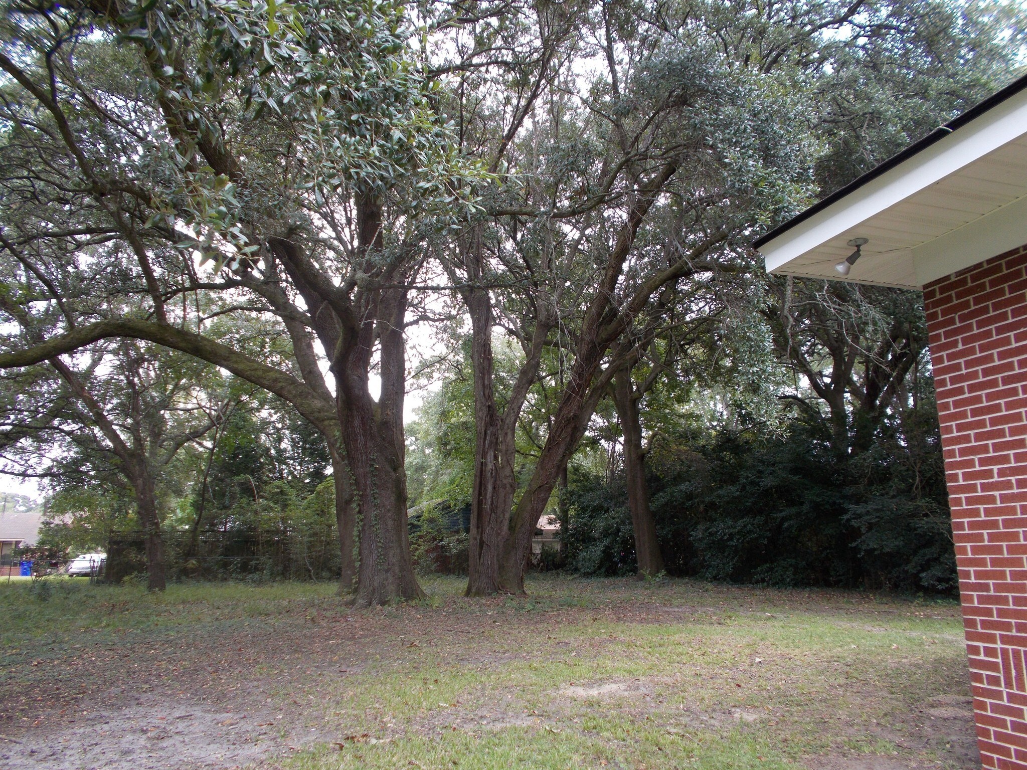 Backyard - 1728 E Avalon Cir
