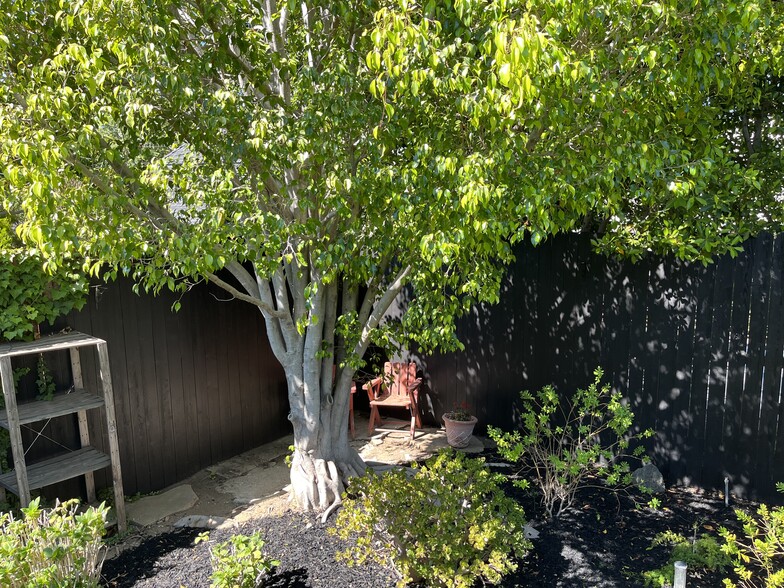 PRIVATE YARD - 10949 Massachusetts Ave