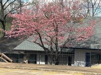 Building Photo - 16 Akokisa Dr
