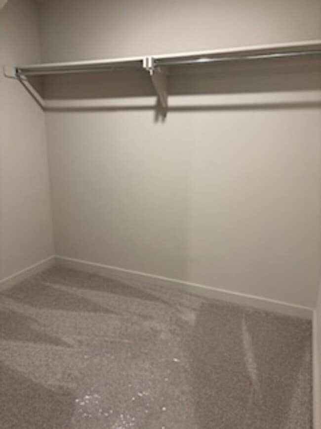 Building Photo - Beautiful New Home!