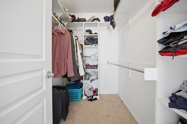 Building Photo - 5325 Brinsley Ln