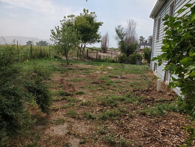 Building Photo - Rare Horse Property Opportunity | 3 Acres + Large Roping Arena & Shop