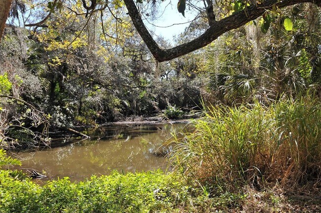 Building Photo - 2746 Orchid Oaks Dr