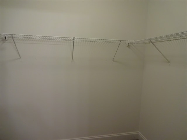 Building Photo - 212 Hedgewood Dr