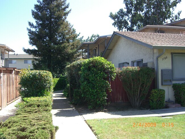 side of building - 3788 Bertini Ct