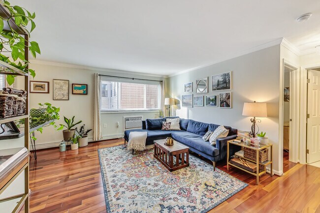 Primary Photo - 1341 Clifton St NW