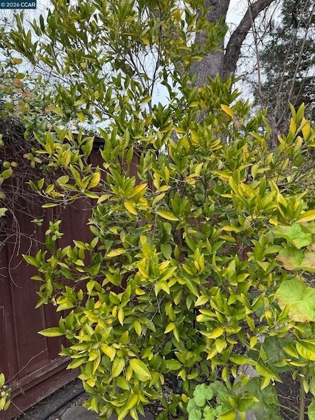 Building Photo - 350 Caroni St