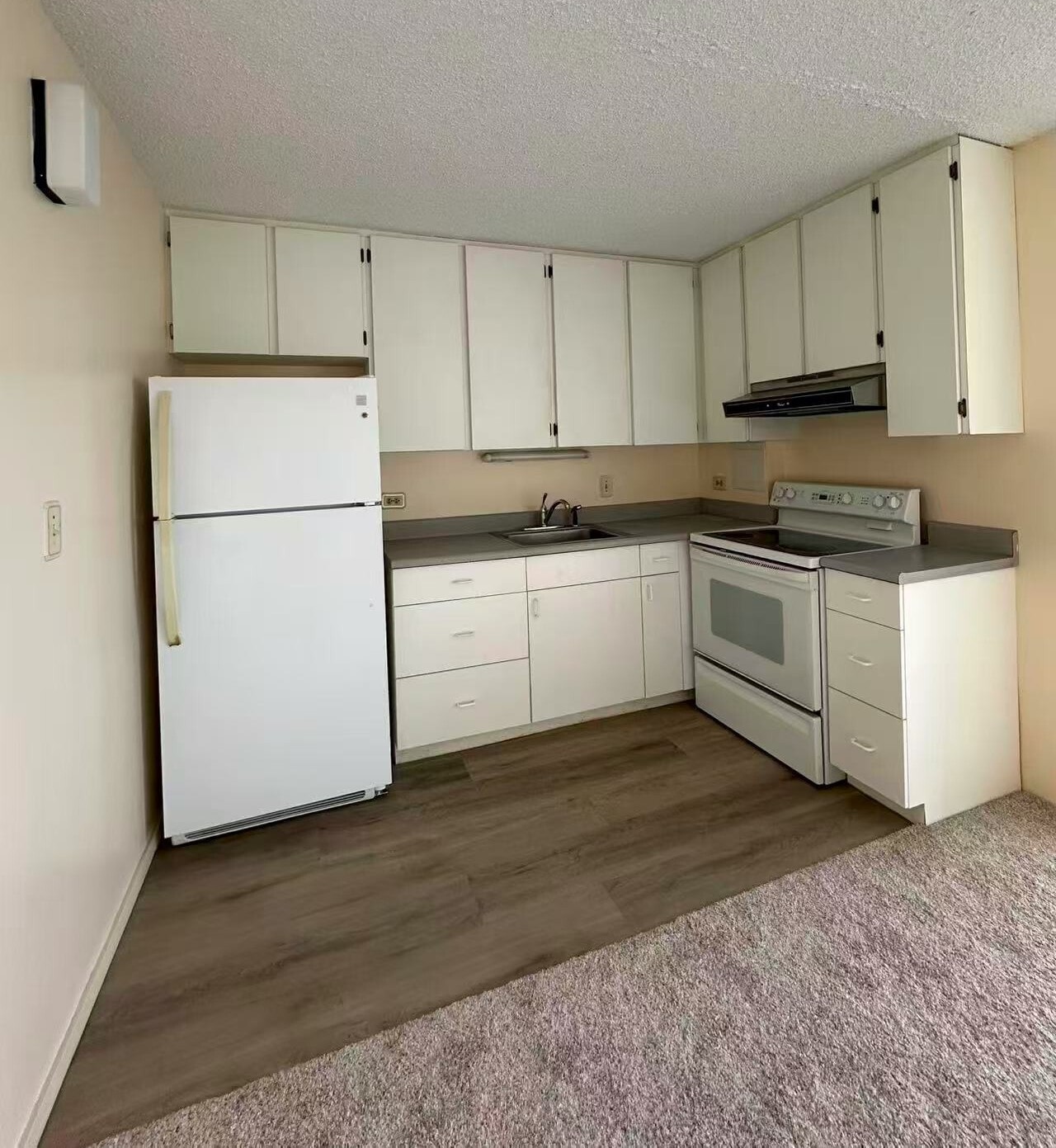 Building Photo - 1545 Nehoa St