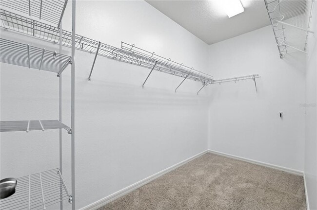 Building Photo - 1066 Amber Leaf Trl