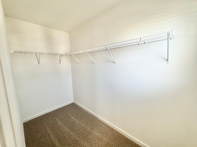 Building Photo - 4380 Mountain Ball Ln