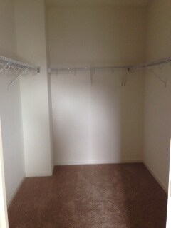 Building Photo - Wonderful Home in Mountain House