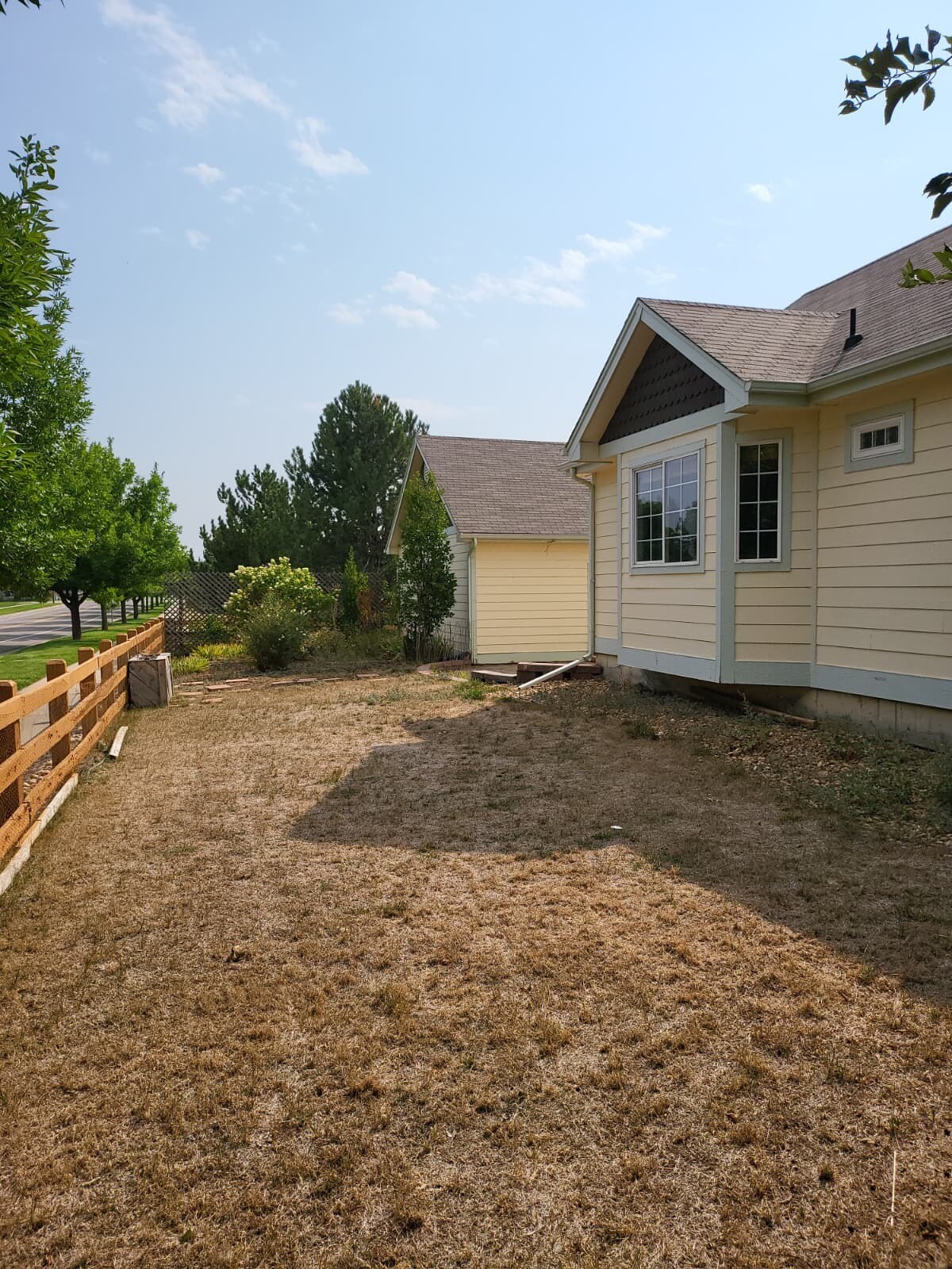 Backyard - 2704 Breckenridge PL