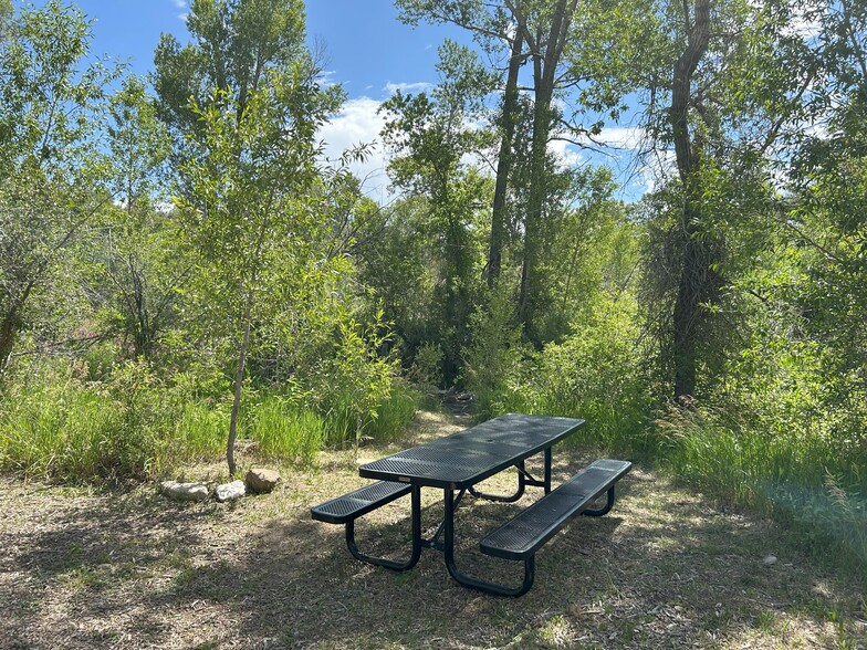 Picnic table in private park - 219 Rosemary Ln