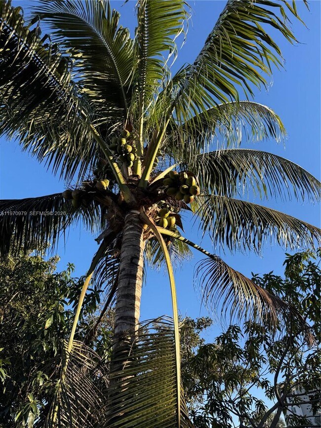 Building Photo - 470 NE 127th St