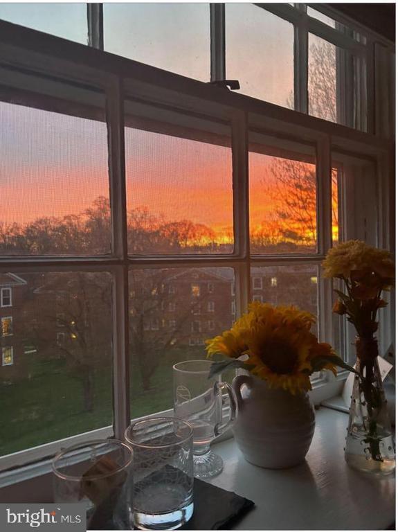 Building Photo - 3856 Porter St NW