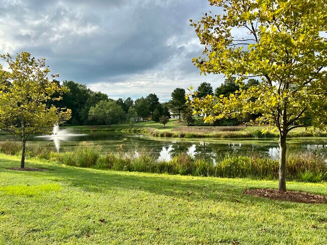 Building Photo - 12123 Monteith Grove Dr